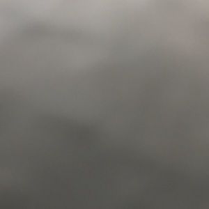 Meet your Posher, Madelyn